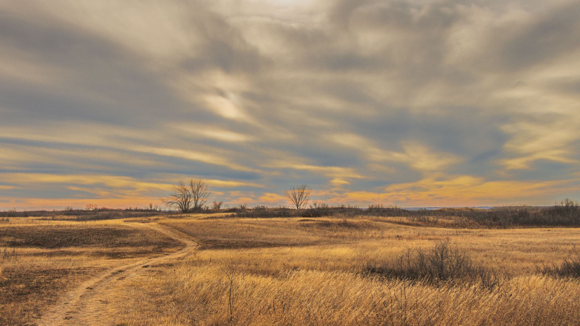 Golden Saskatchewan prairie at sunset under a wide, layered sky